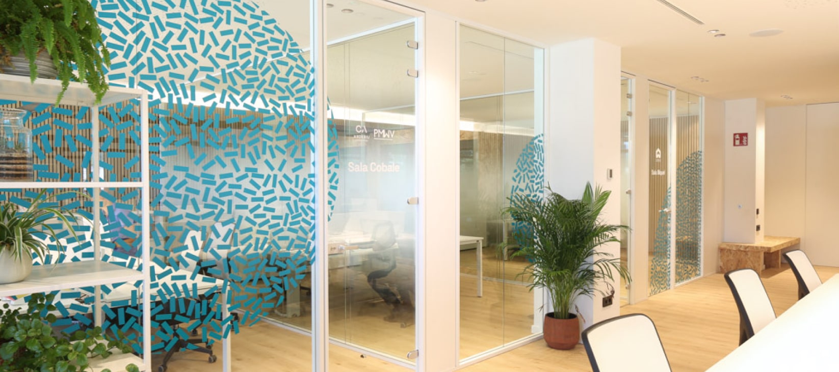 skotproject skotproject